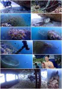 タイ プーケット ダイビング 海ブログ