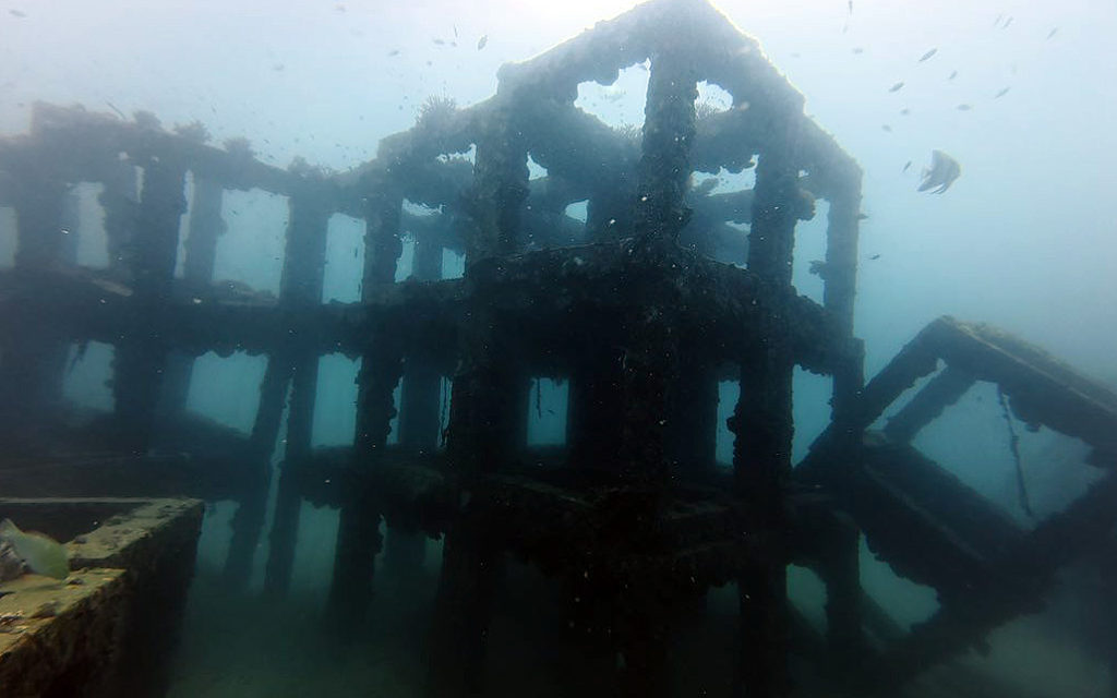 プーケット ダイビング ピピ島 クルーズ KOON9 PADI 日本人 ファンダイビング