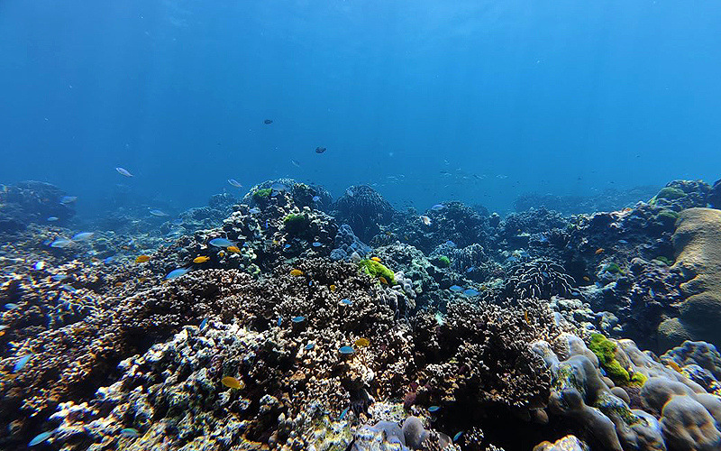 プーケット ダイビング ラチャ ラチャノイ島 ラチャヤイ島 PADI 日本人 ファンダイビング 体験ダイビング 講習 沈船
