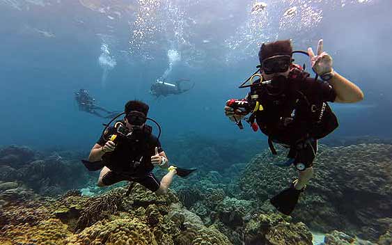 タイ プーケット ダイビング ファンダイビング ラチャ島 沈船 PADI 