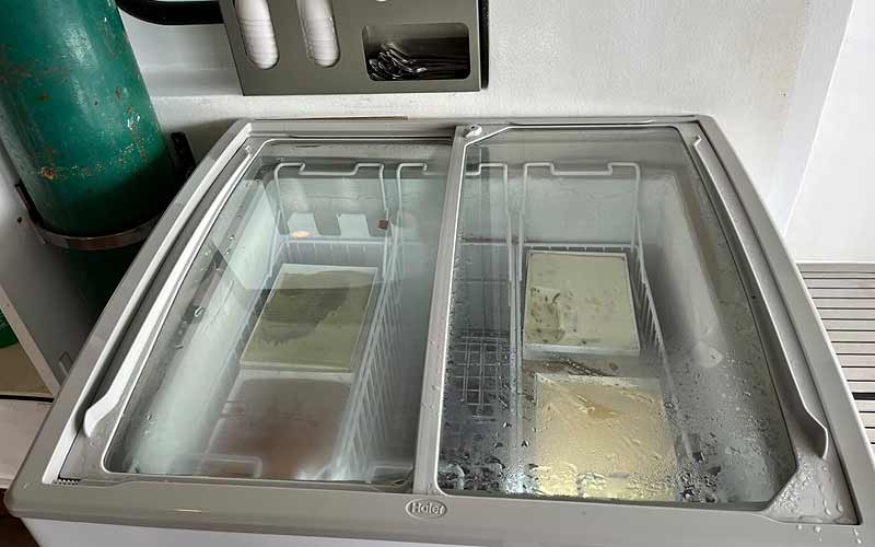 プーケット ダイビング シミラン島 シミランクルーズ PADI 日本人 ファンダイビング ダイブクルーズ タイ リチェリューロック KOON9