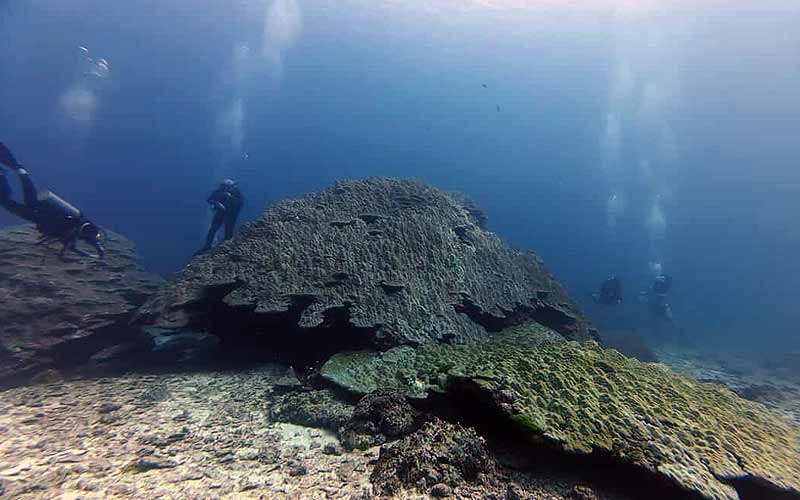 タイ プーケット 日本人 ダイビング ファンダイビング ラチャヤイ島 ラチャノイ島 ラチャ島 沈船 マリンパーク キングクルーザー PADI